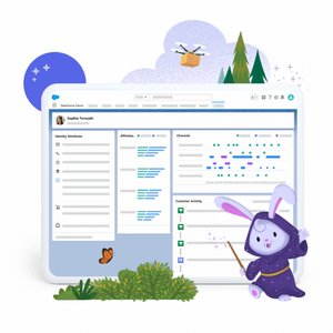 Salesforce Genie